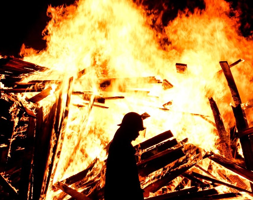 Dinas Damkar Palangkaraya Evakuasi Ular di Kantor Camat